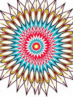 Vibrant Red Teal Sunburst Mandala Rug
