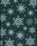 Winter Frost Snowflake Teal Rug