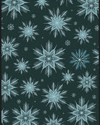 Winter Frost Snowflake Teal Rug