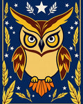 Wise Owl Blue Starry Night Rug