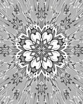 Monochromatic Geometric Flower Sunburst Rug