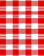 Rustic Red Gingham Plaid Checks Rug