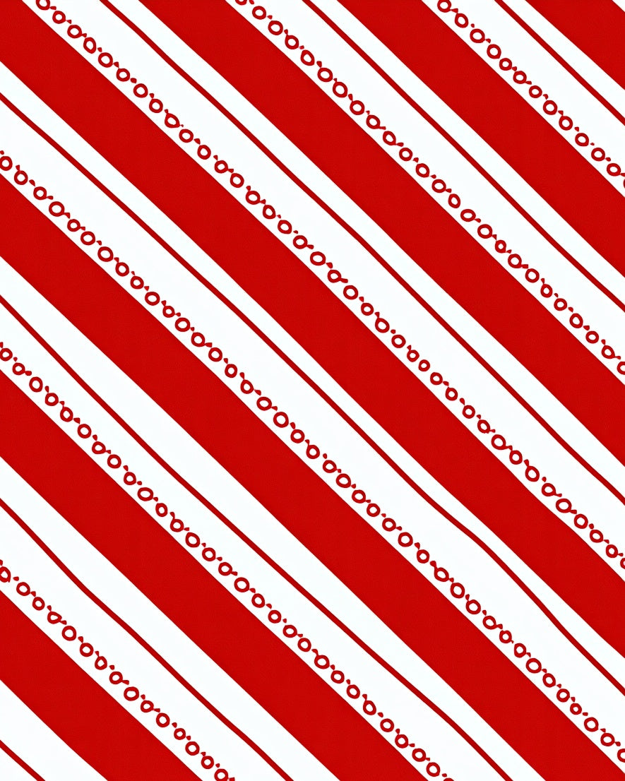 Bold Red White Diagonal Stripe Border Rug