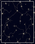 Celestial Night Sky Constellation Rug