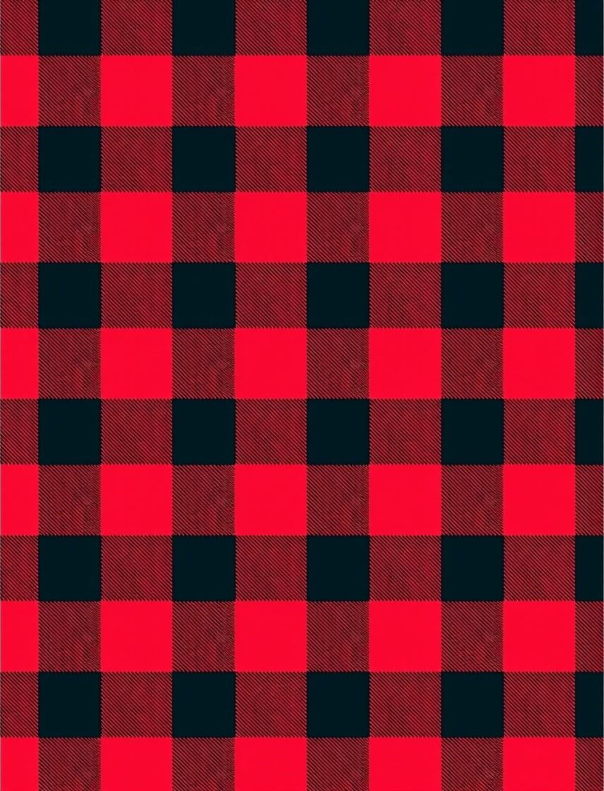 Red Black Buffalo Check Rug