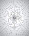 Monochrome Radial Sunburst Rug