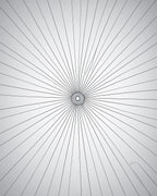 Monochrome Radial Sunburst Rug
