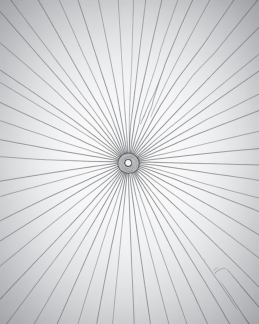 Monochrome Radial Sunburst Rug