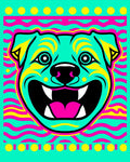 Vibrant Aqua Pitbull Face Graphic Rug