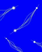 Bright Blue White Cosmic Flowing Lines Rug
