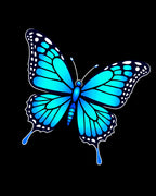 Vivid Blue Butterfly Wing Detail Rug