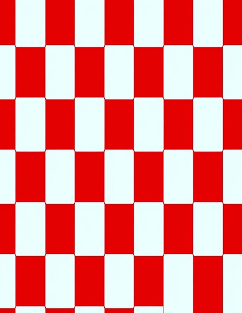 Bold Red White Checkerboard Squares Rug