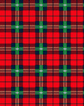Classic Red Blue Green Plaid Check Rug
