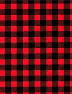 Bold Red Black Gingham Textile Weave Rug