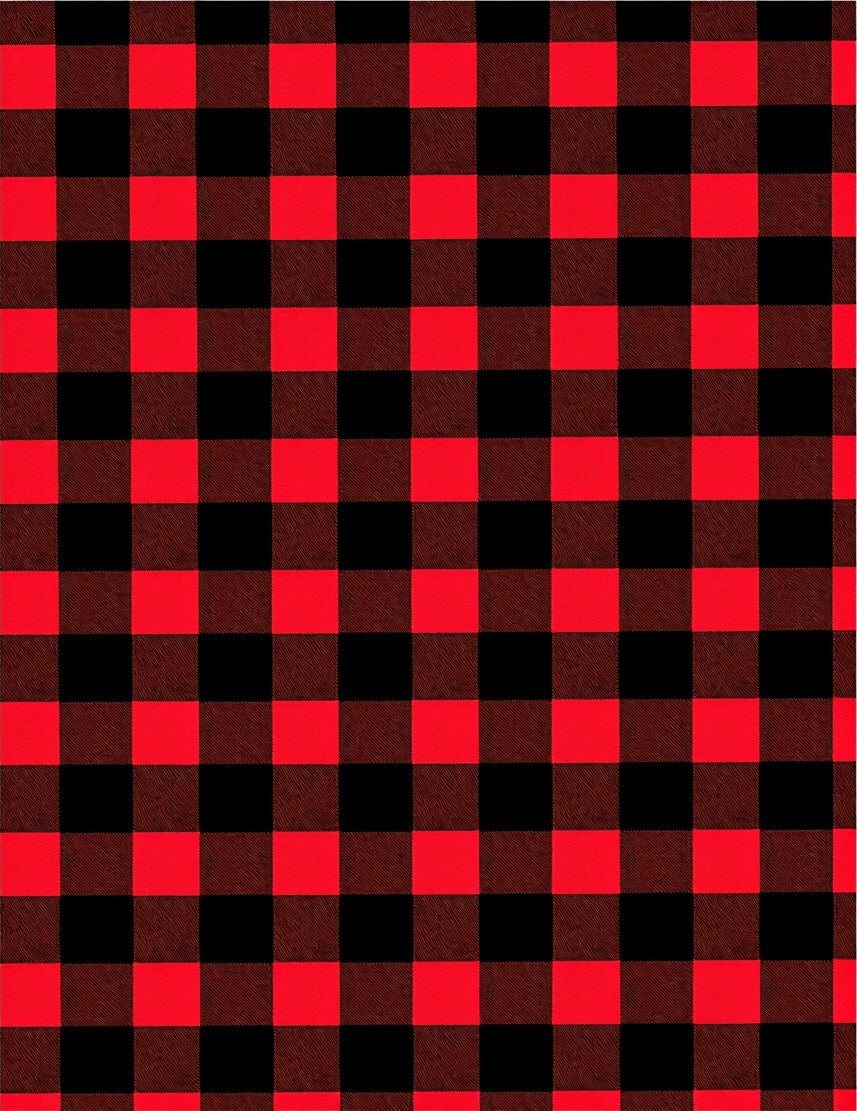 Bold Red Black Gingham Textile Weave Rug