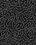 Hand Drawn White Twig Nature Rug