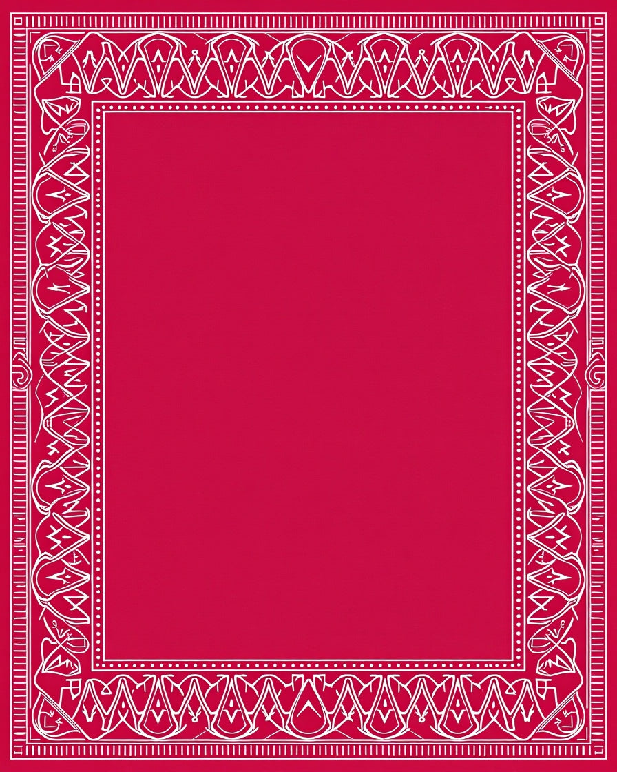 Vibrant Crimson White Ornate Border Rug