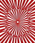 Radiant Red Lotus Sunburst Rug