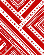 Bold Red Star Chevron Graphic Rug