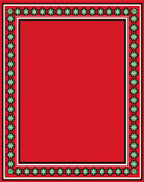 Red Floral Bordered Rug