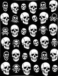 Enigmatic White Skulls Scatter Rug
