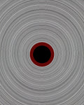 Concentric Circles Black Red Gray Rug