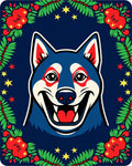 Blue Husky Festive Floral Star Cover Rug