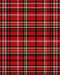 Classic Red Green Tartan Plaid Rug
