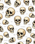 Vintage Skull Collection Cream Rug