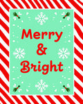 Red Stripe Mint Snowflakes Holly Rug