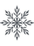Dark Navy Floral Snowflake Symmetry Rug