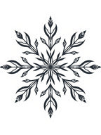 Dark Navy Floral Snowflake Symmetry Rug