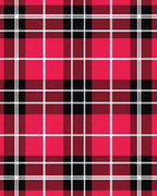 Bold Red Black White Plaid Rug