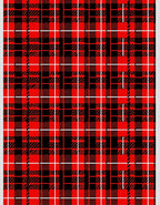 Bold Red Black Plaid Grid Rug