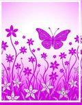Vibrant Pink Butterfly Floral Meadow Rug