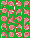 Red White Swirls On Green Field Rug