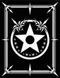 Bold Black White Star Emblem Rug
