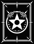 Bold Black White Star Emblem Rug
