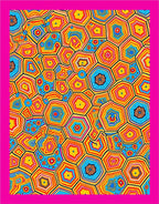 Vibrant Jumbo Hexagon Rainbow Rug