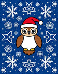 Cute Christmas Owl Snowflakes Blue Rug