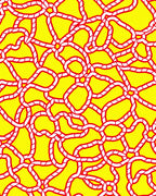 Bold Yellow Red Rope Maze Rug