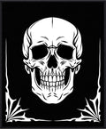 Monochromatic White Skull Graphic Black Rug