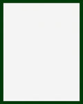 Deep Forest Green Bordered Field Rug