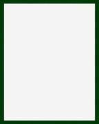 Deep Forest Green Bordered Field Rug