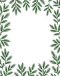Dark Green Pine Branch Border Rug