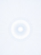 Soft White Light Burst Rug