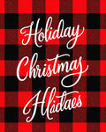 Red Black Buffalo Plaid Holiday Accent Rug