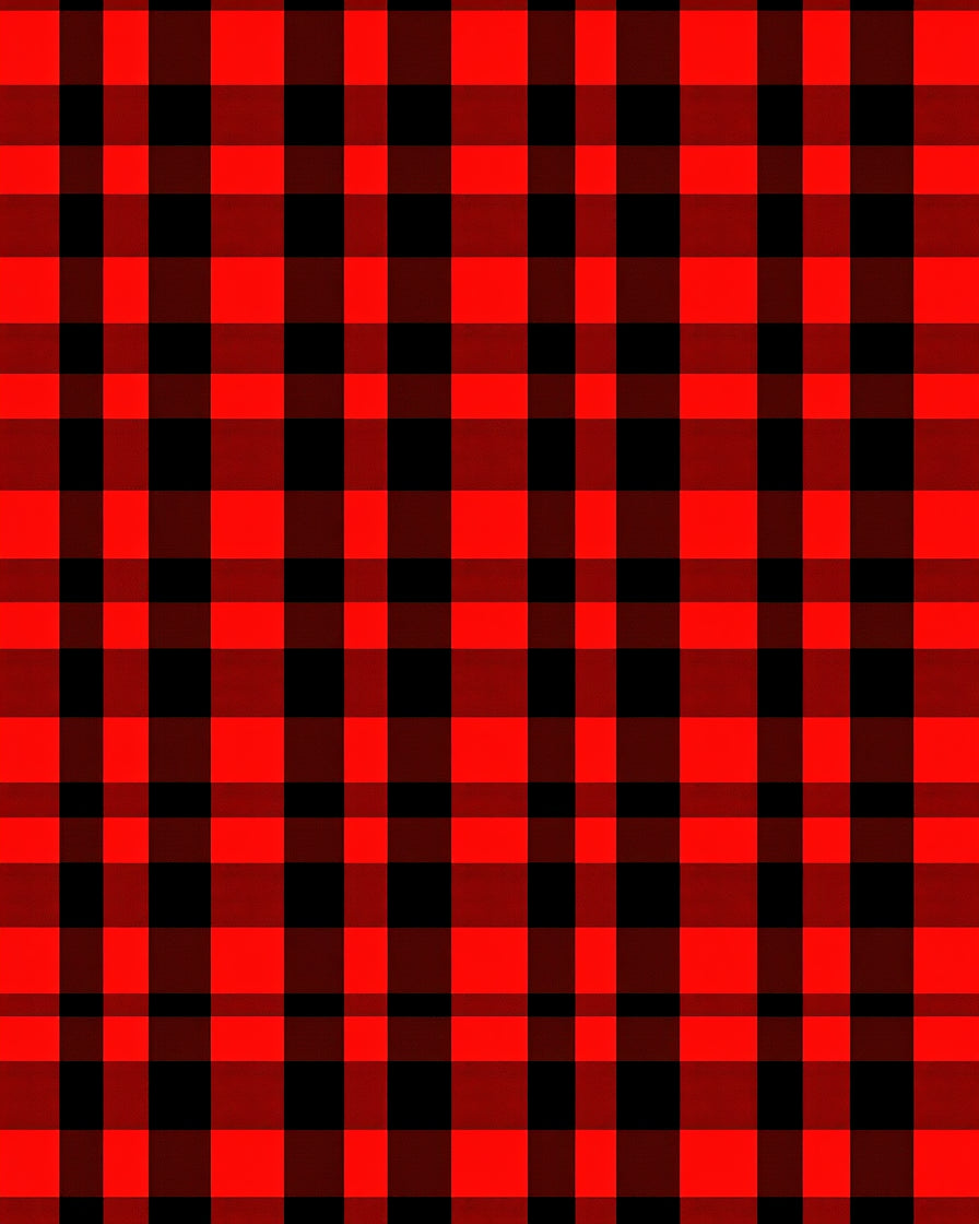 Bold Red Black Gingham Squares Rug