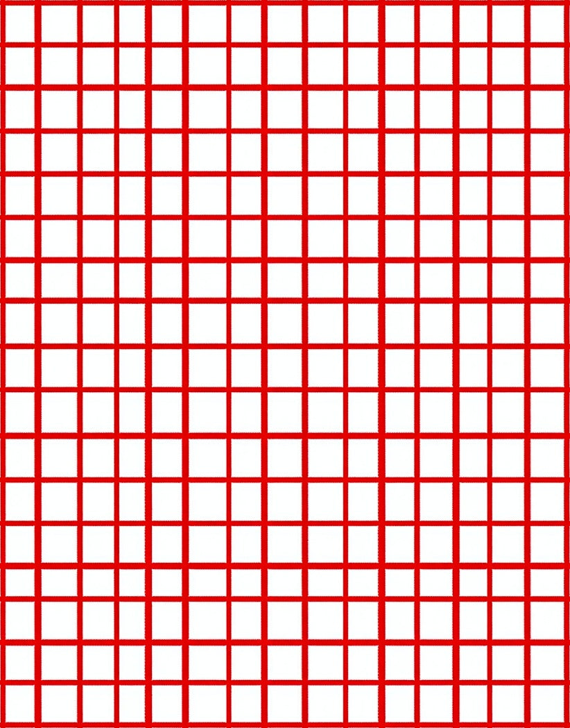 Bold Red Grid Check Rug