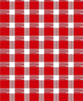 Crimson Buffalo Check Rug